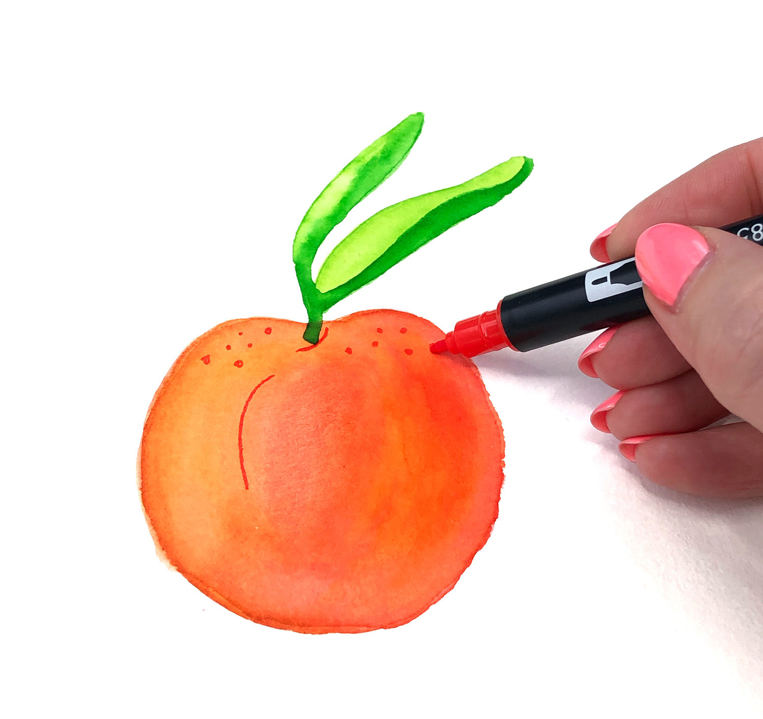 Create a Watercolor Peach with Jessica Mack on behalf of Tombow