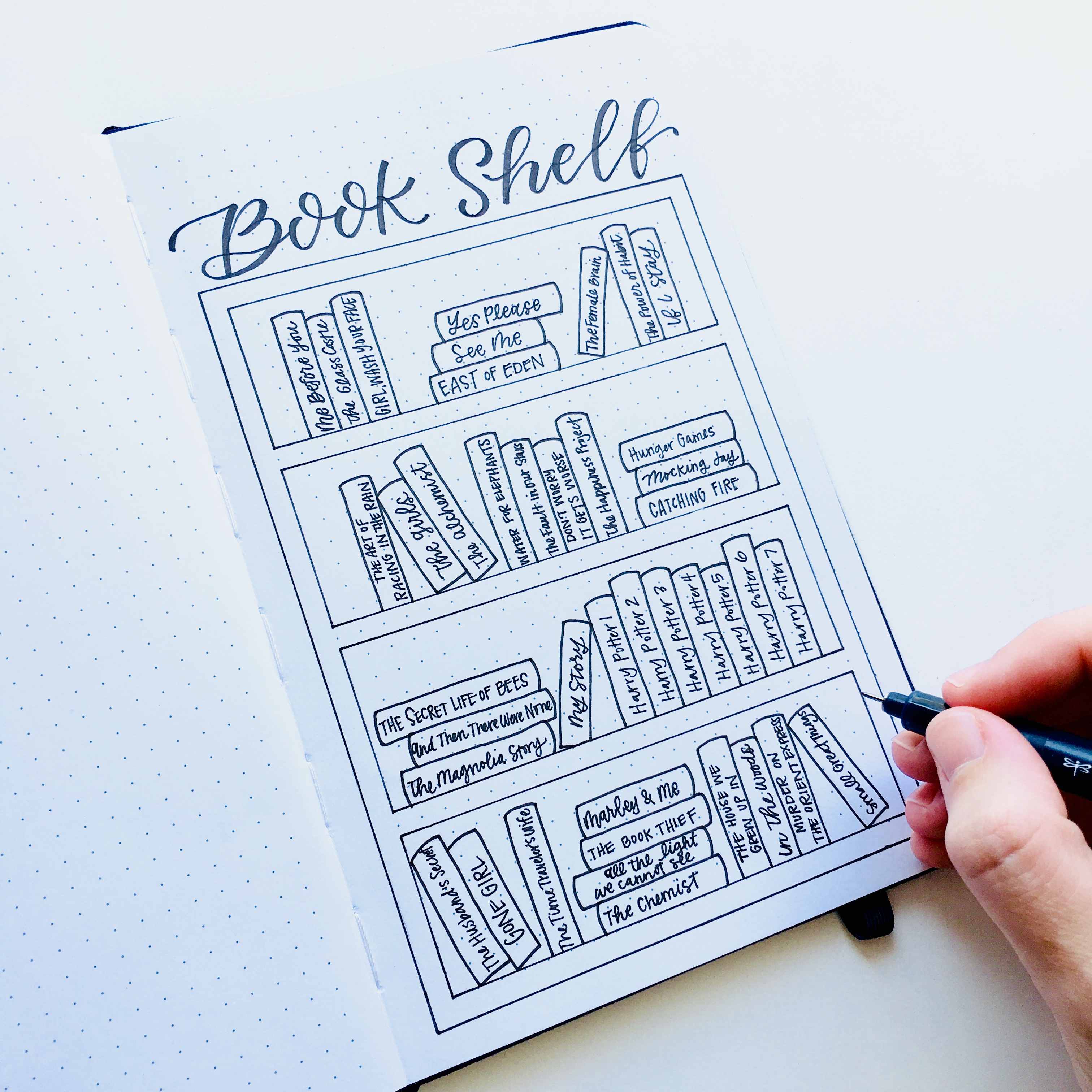 Draw apicture of your book shelf