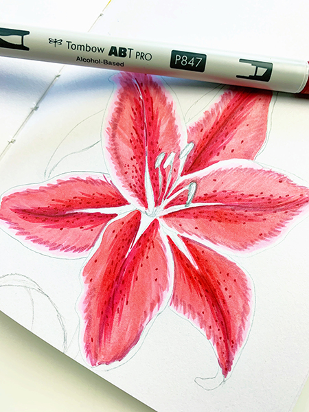 Color a lily flower with the Tombow ABT PRO Alcohol Markers. #tombow #art