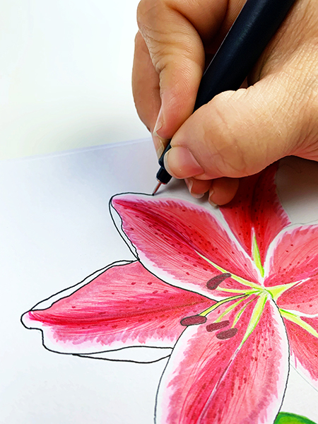 Use the Tombow MONO Drawing Pens to outline your artwork. Use the Tombow ABT PRO Alcohol Markers to color a Lily. #tombow #art 