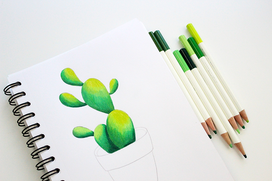 How To Draw A Cactus With The Tombow Irojiten Colored Pencil. Choose a place where the light will touch the cactus. In the places closer to the light, use the lighter shade of green. #tombow #cactus