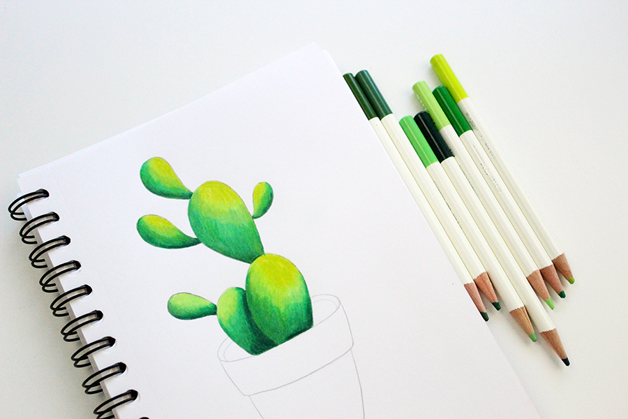 pencil drawing cactus