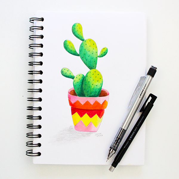 pencil drawing cactus