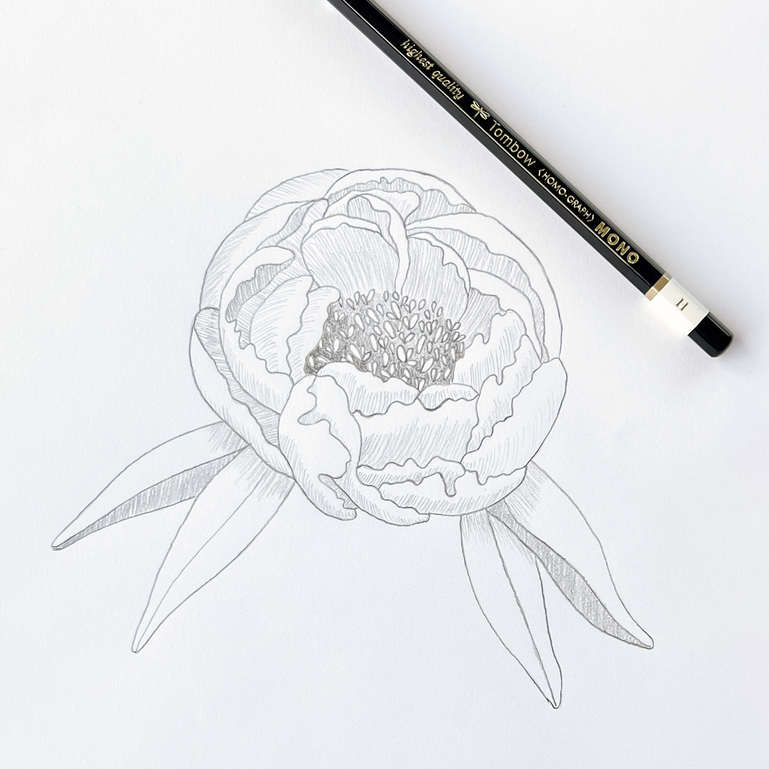 How to Draw a Peony by Jessica Mack on behalf of Tombow