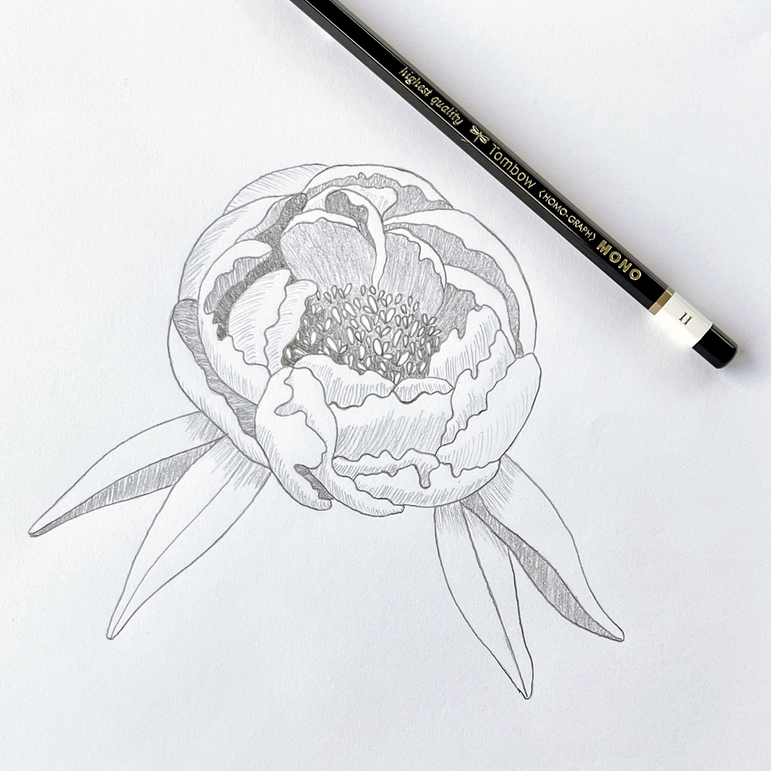 How to Draw a Peony by Jessica Mack on behalf of Tombow