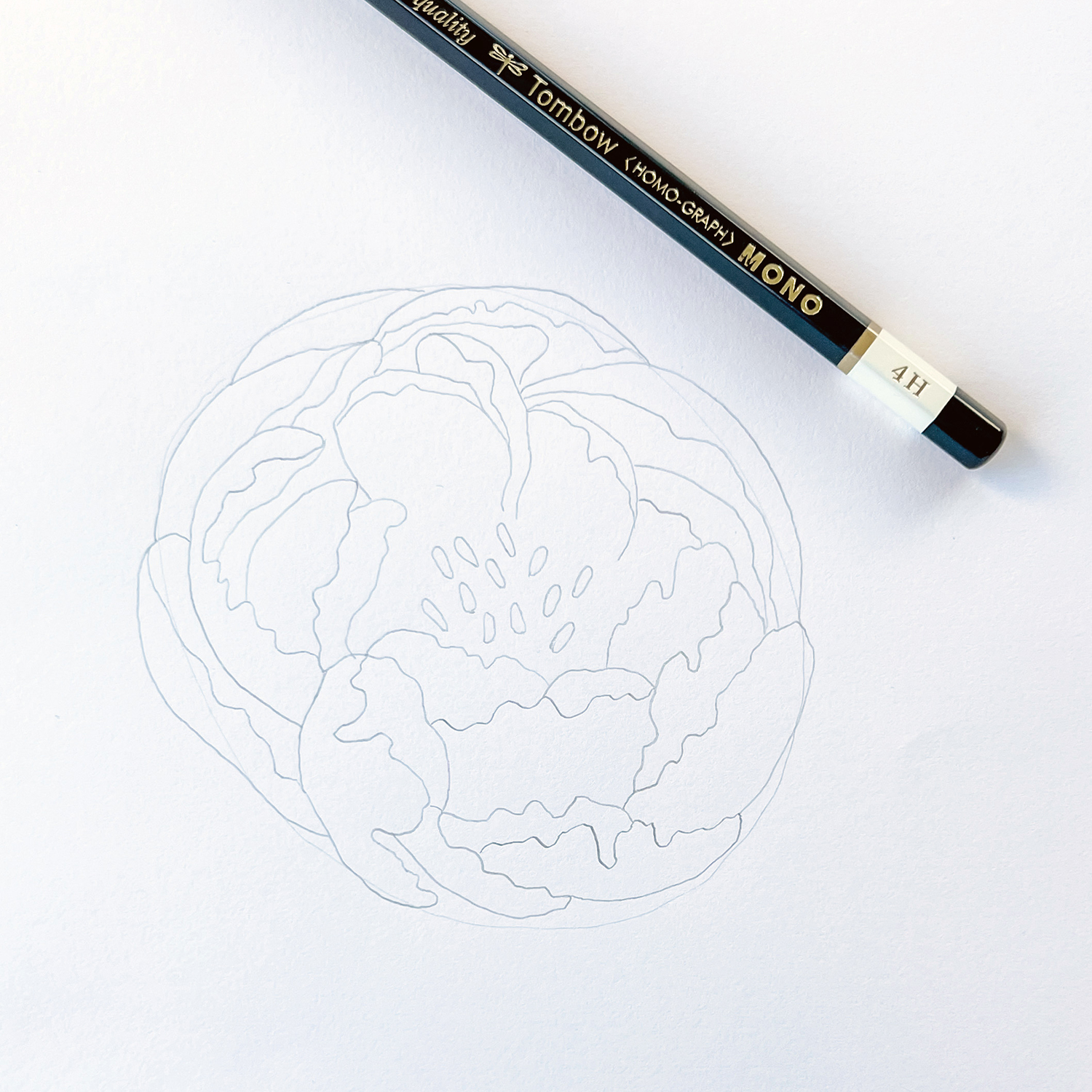 How to Draw a Peony by Jessica Mack on behalf of Tombow