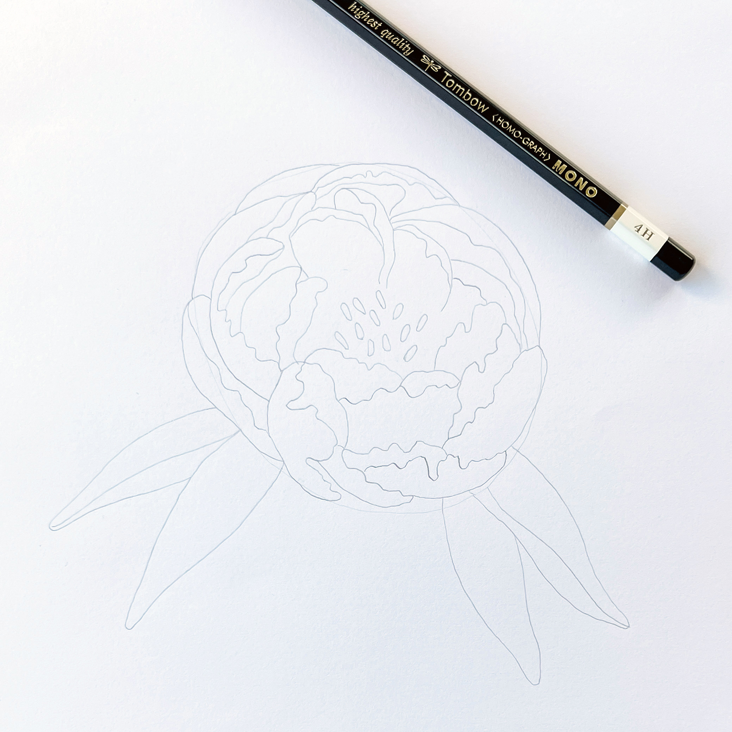 How to Draw a Peony by Jessica Mack on behalf of Tombow