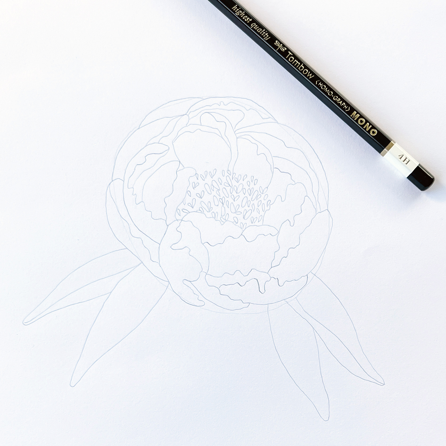 How to Draw a Peony by Jessica Mack on behalf of Tombow