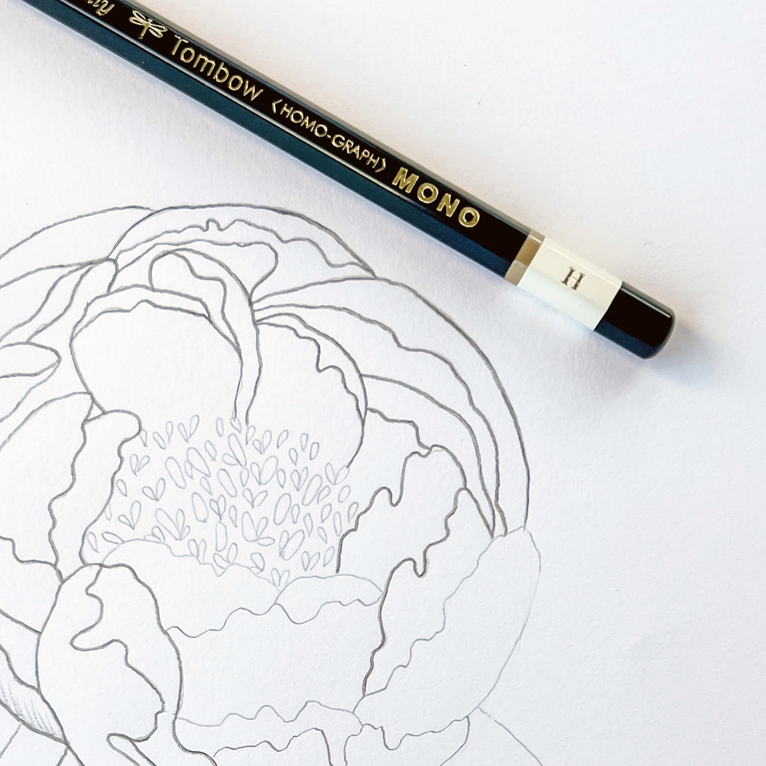 How to Draw a Peony by Jessica Mack on behalf of Tombow