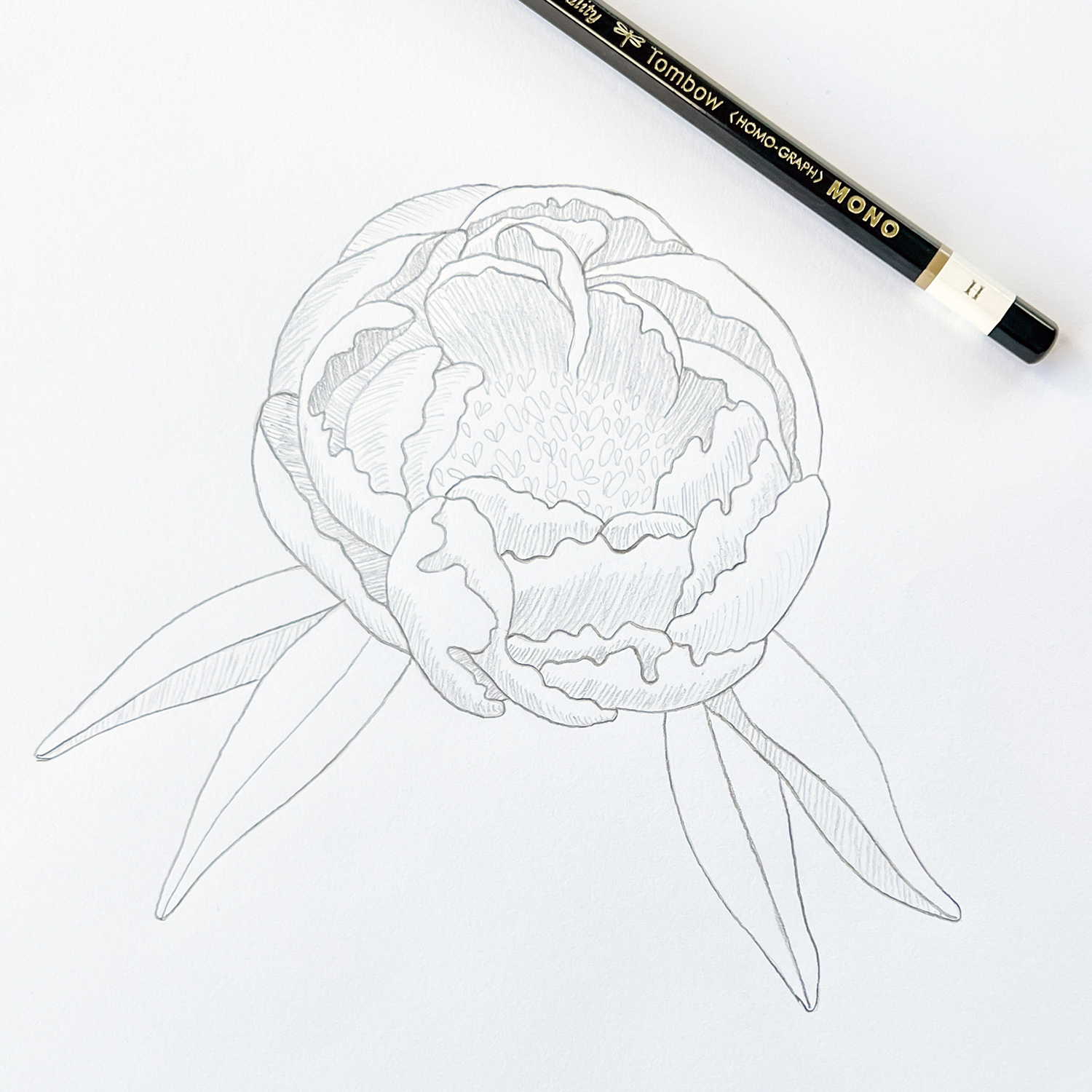 How to Draw a Peony by Jessica Mack on behalf of Tombow