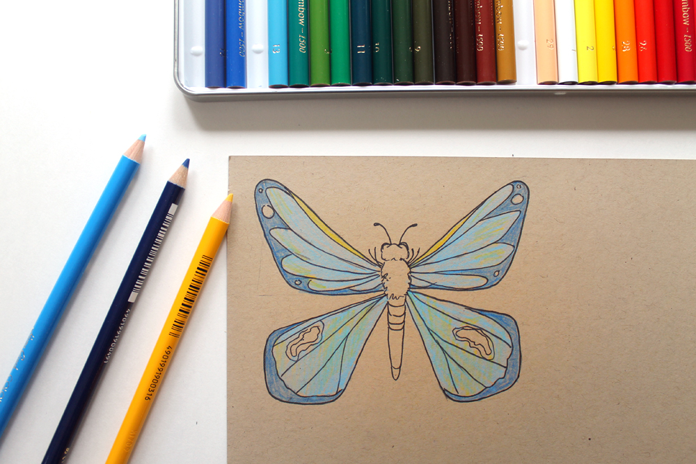 Learn how to Draw and Color Butterflies with @studiokatie using @tombowuse new 1500 Colored Pencils