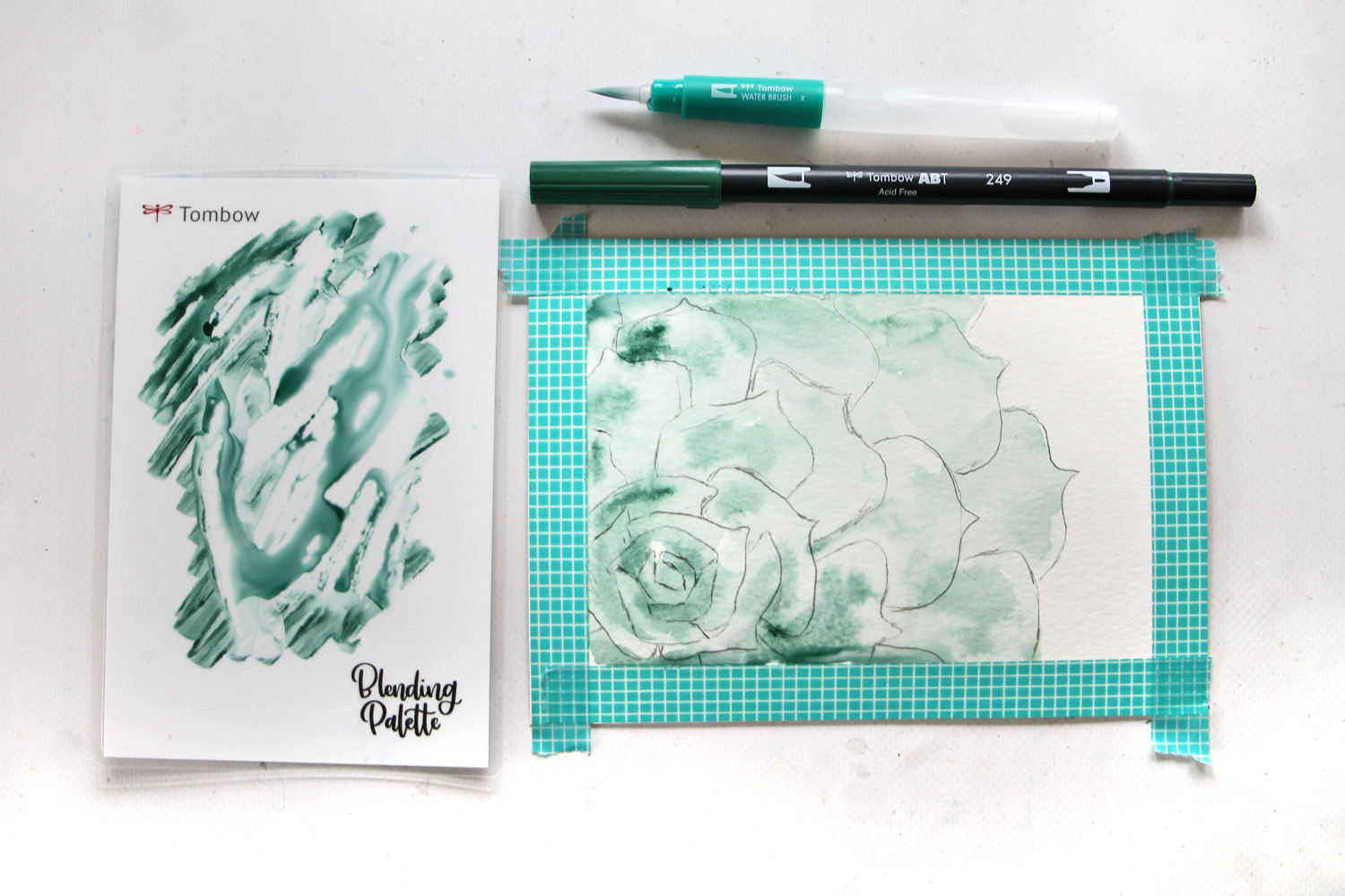 Learn how to paint a watercolor succulent using Tombow's Watercolor Set and this tutorial by @studiokatie #tombowusa #tombow #watercolor
