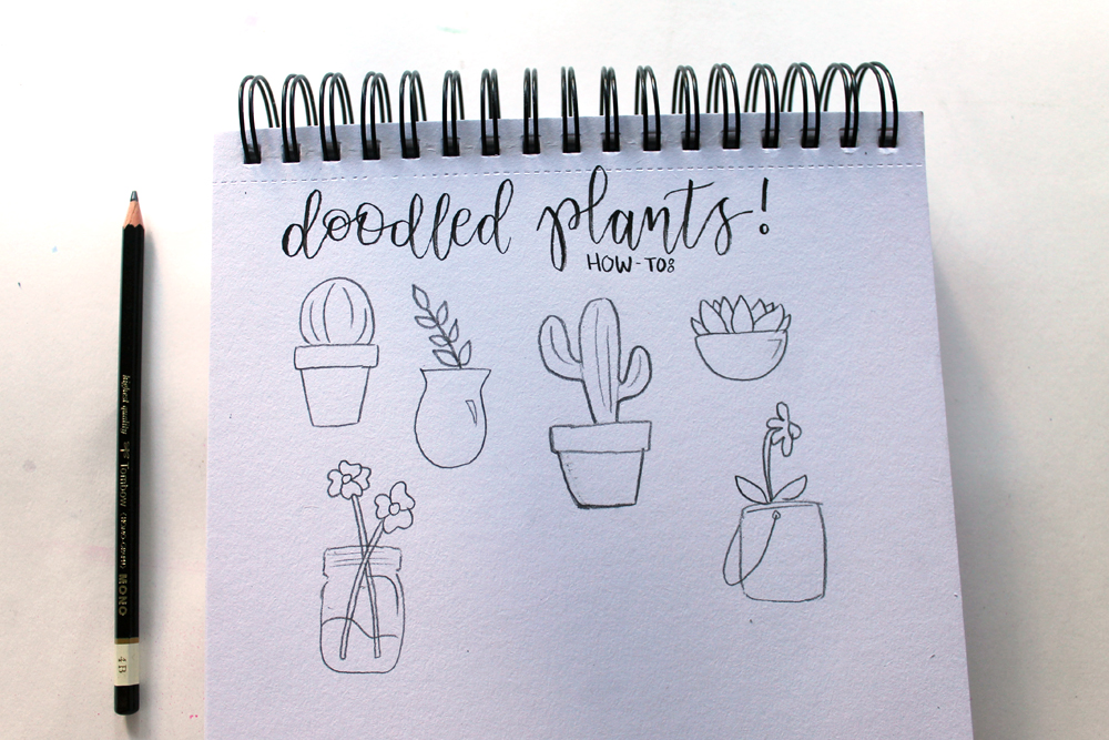 easy plant drawings