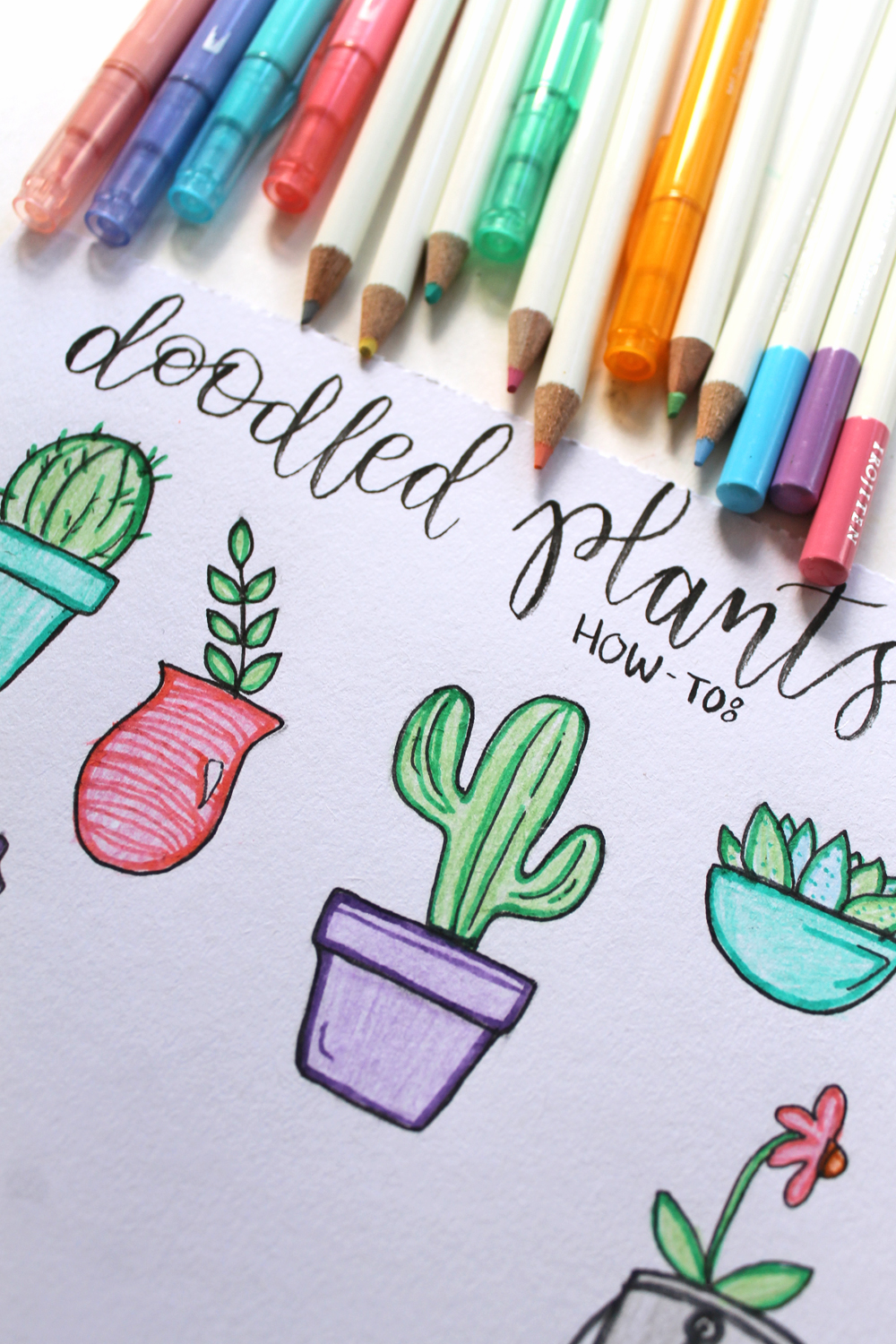 How to Doodle: 6 Plants to Draw! - Tombow USA Blog