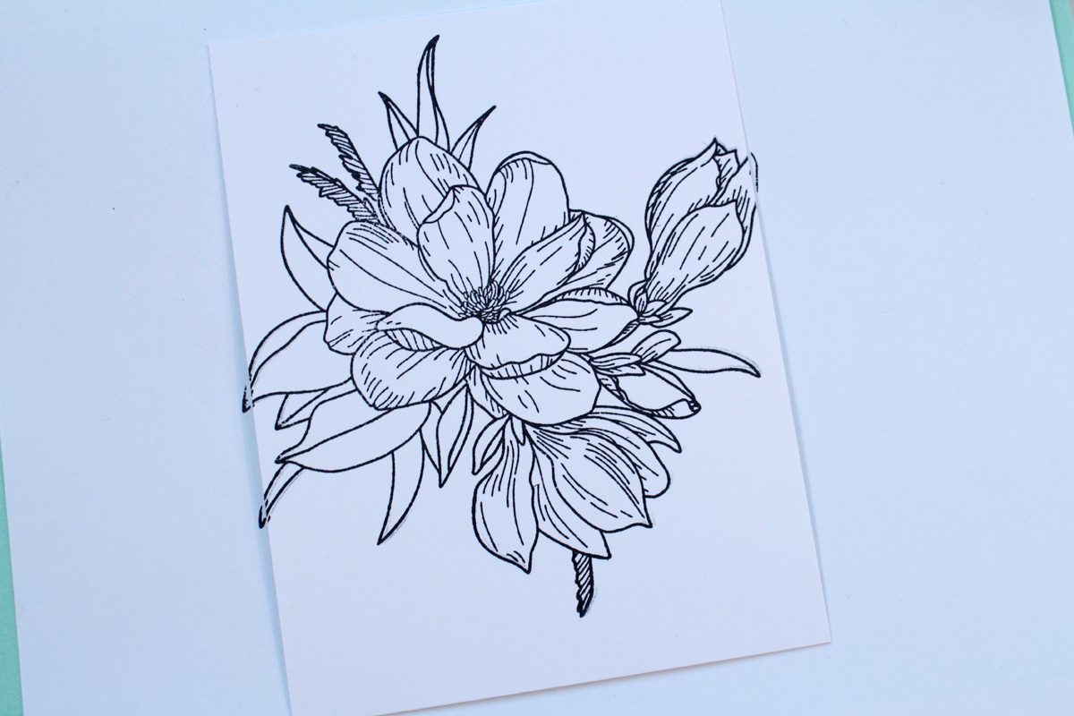 Black and white outlined stamped image of magnolia flowers