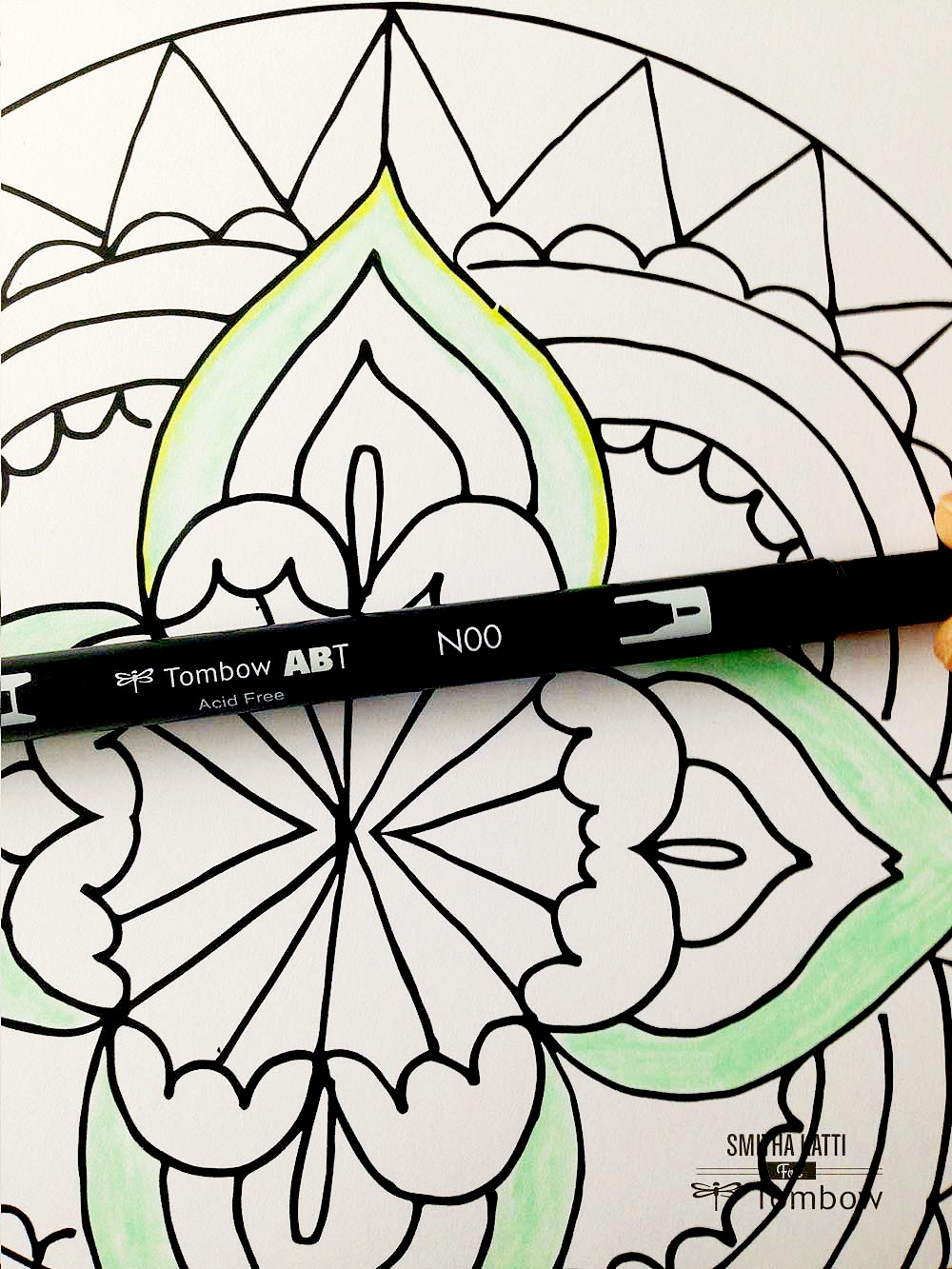 How To Draw A Cactus with Irojiten Colored Pencils - Tombow USA Blog