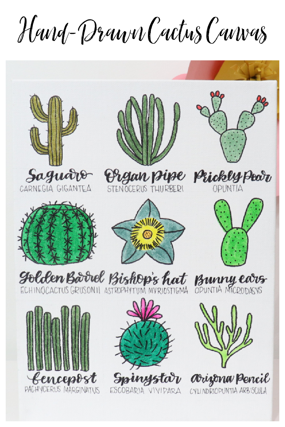 Image contains a 9x12 canvas decorated with nine cactus doodles, each labeled with their name and scientific name. 