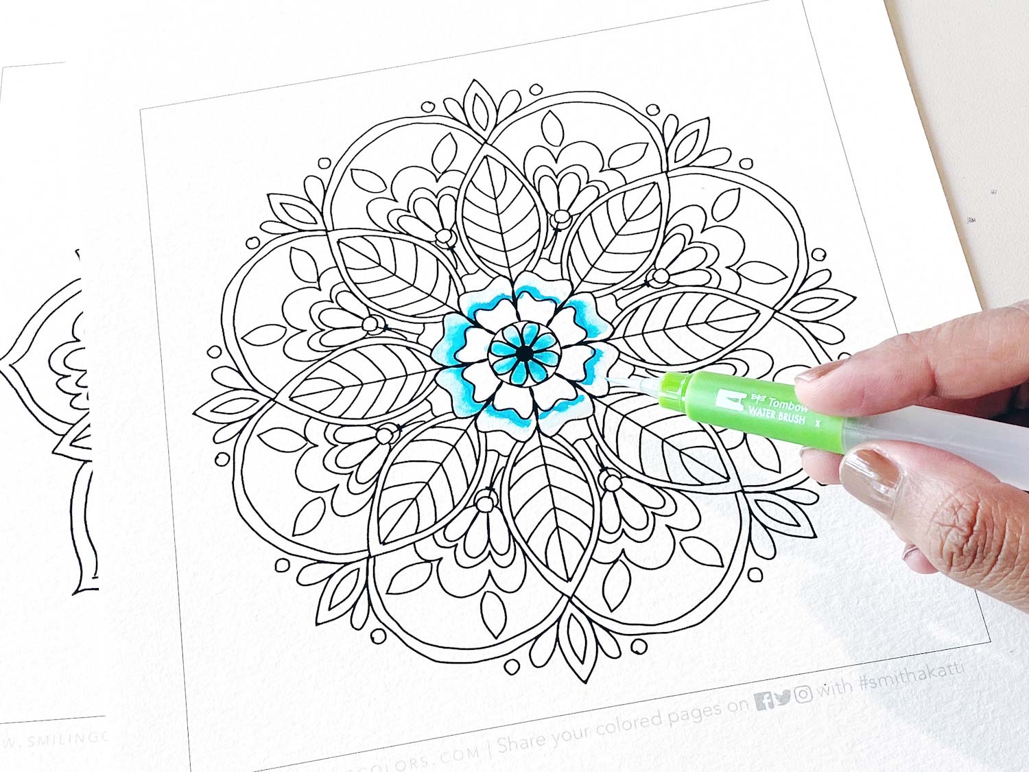 Tombow's Dual Brush Pens are perfect for coloring! Grab this coloring page  from Amy Tangerine!