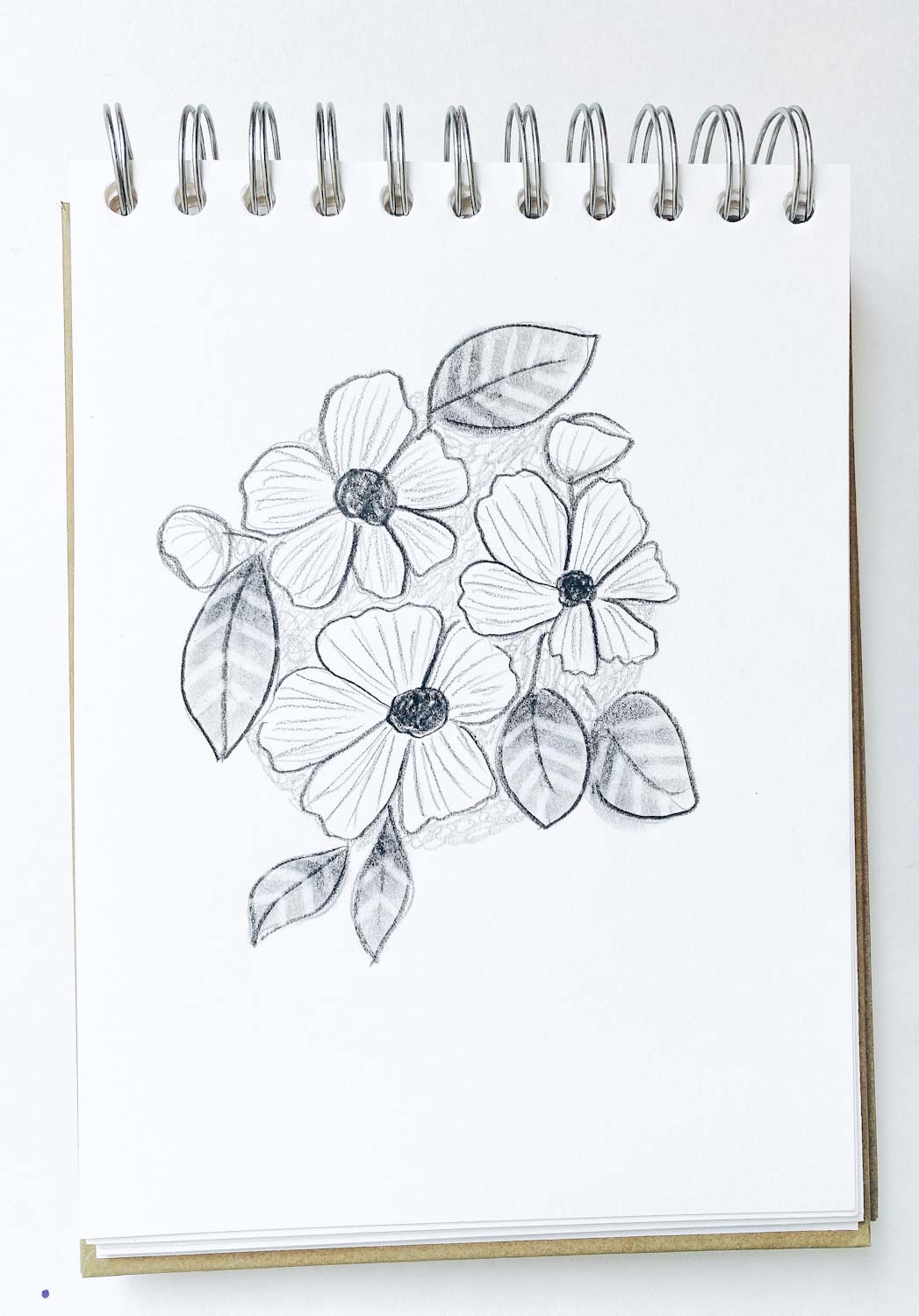 Floral Pencil Drawings - Fine Art Blogger