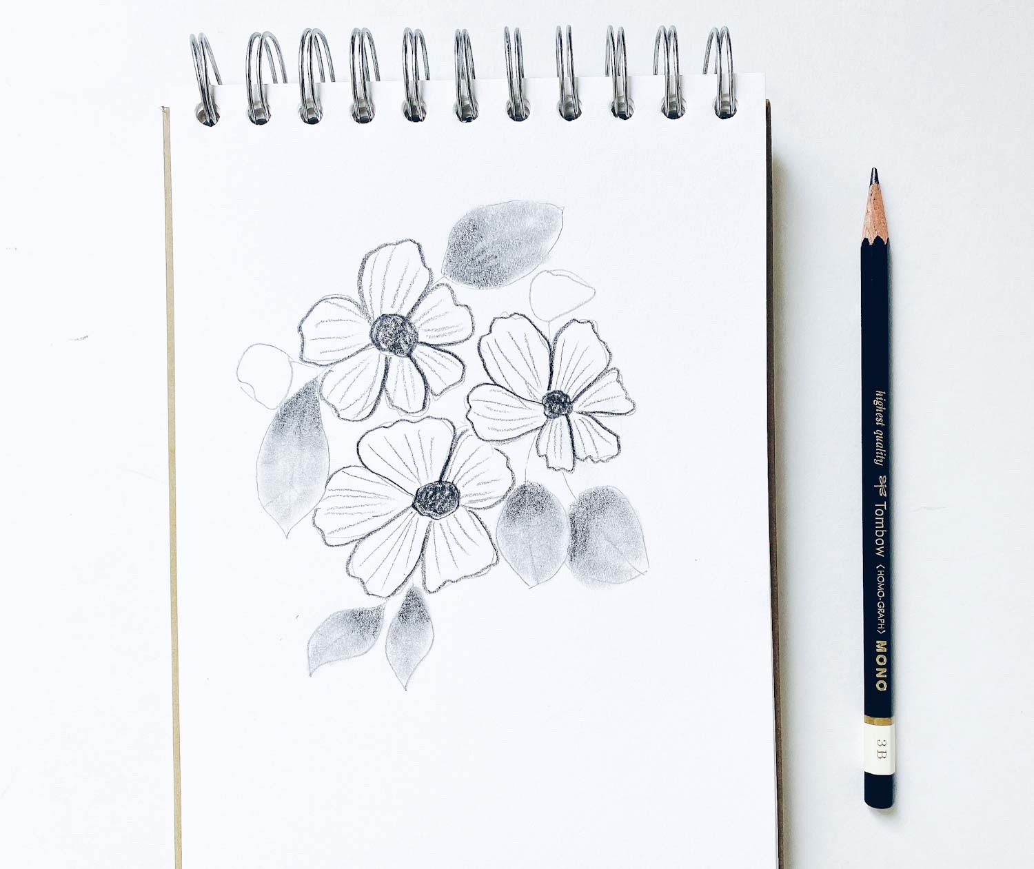 Easy pencil shading on sale drawings of flowers