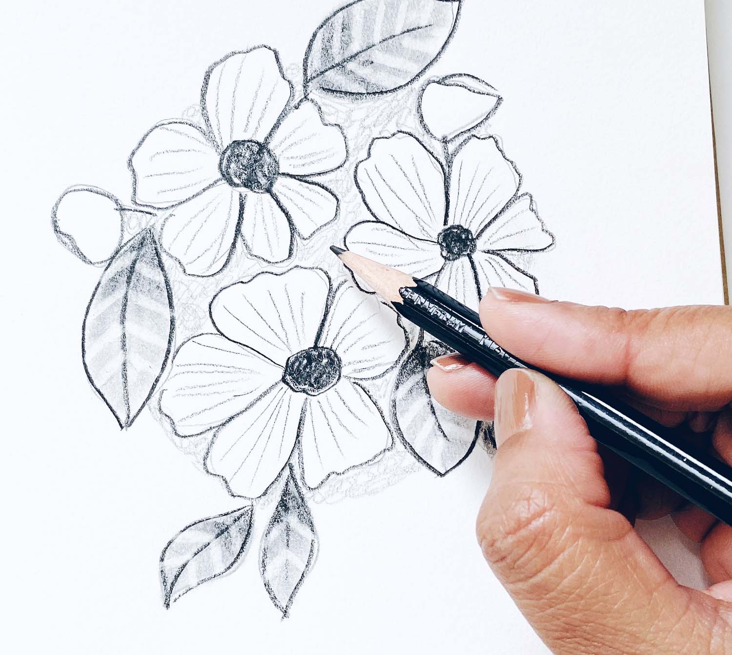 flowers drawings in pencil