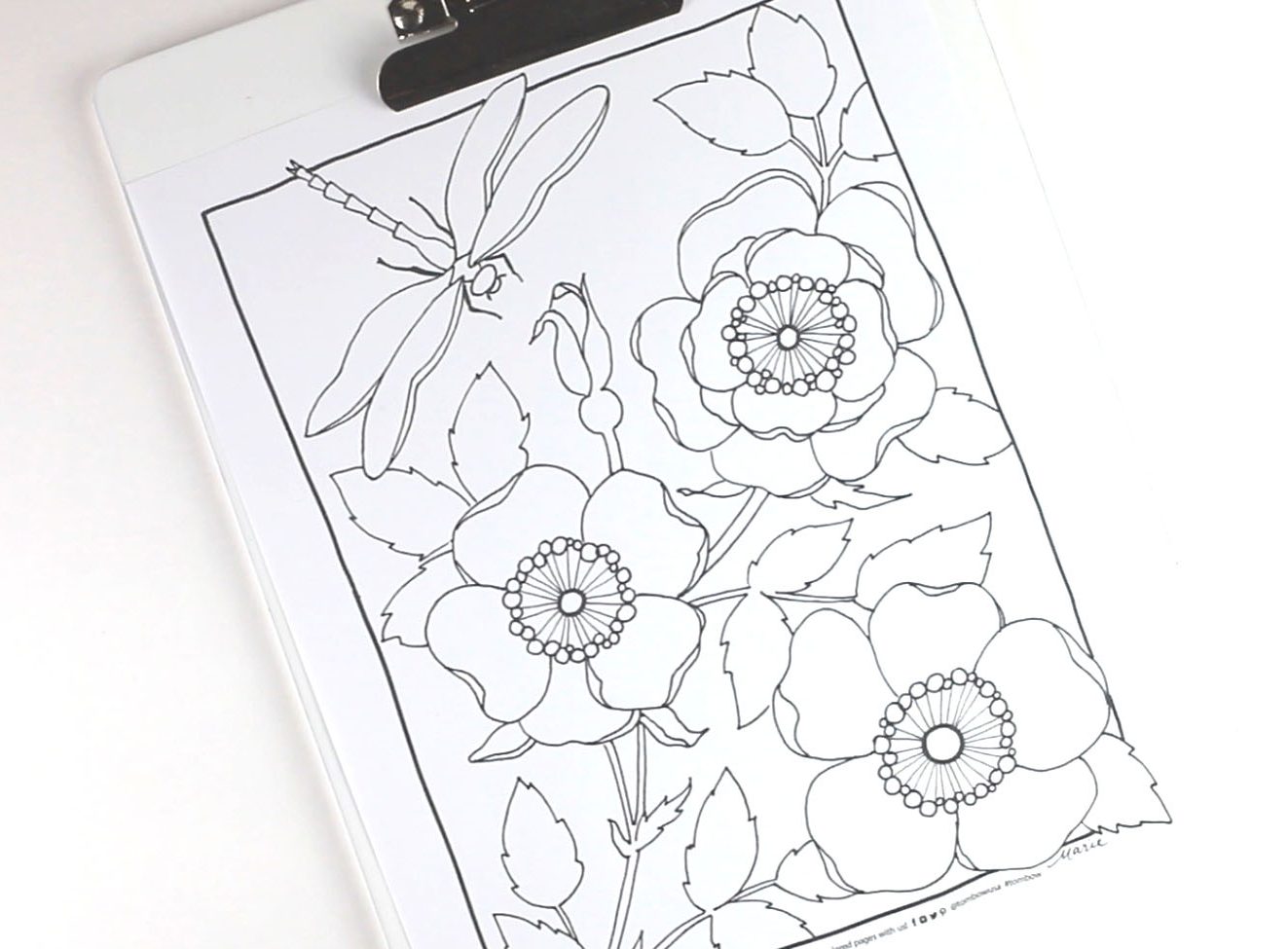 ipaint coloring sheets without color
