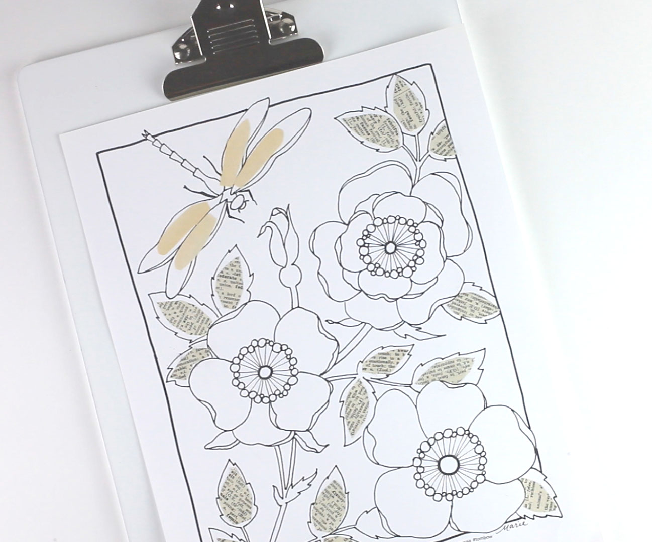 Free Adult Coloring Page Downloads! - Tombow USA Blog