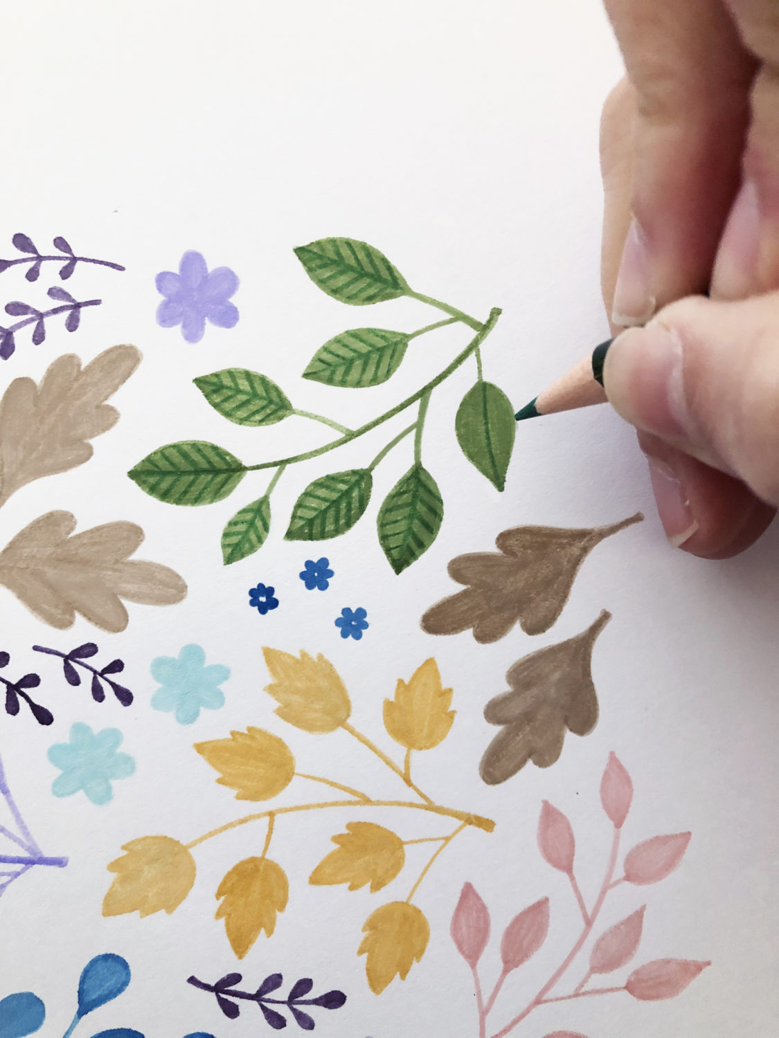 Create this Floral Illustration with Tombow Dual Brush Pens and 1500  Colored Pencils - Tombow USA Blog