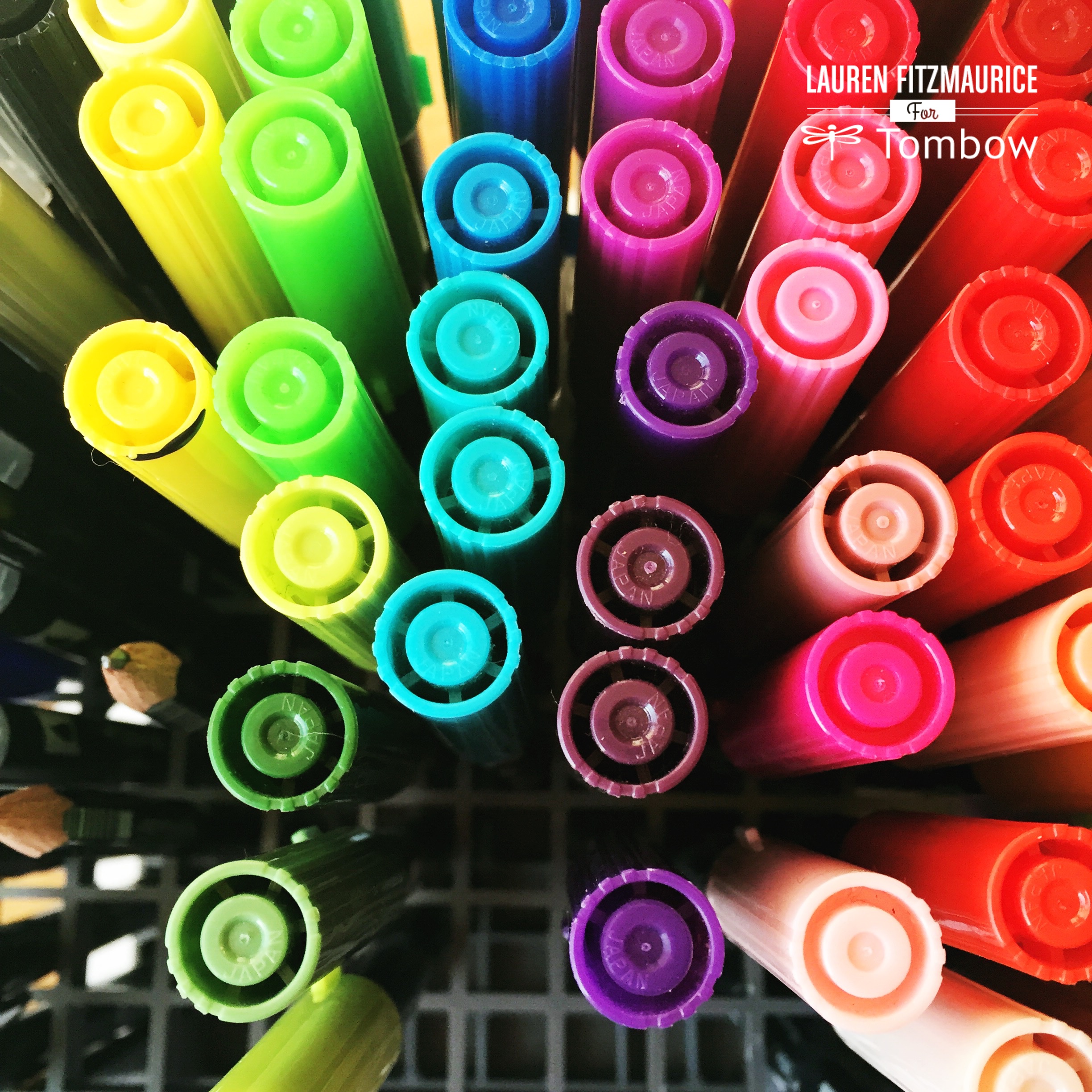 How to Organize Your Tombow Dual Brush Pens + What those numbers