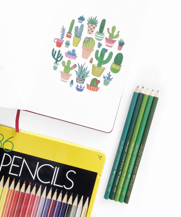 Draw Springtime Succulents Using Tombow's 1500 Colored Pencils - Tombow ...