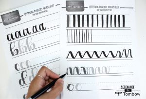 My Lettering Story with the New Tombow Lettering Sets