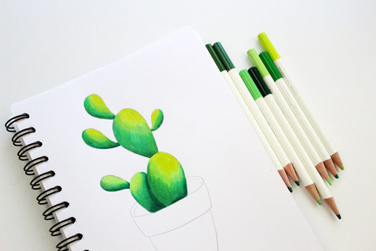 How To Draw A Cactus with Irojiten Colored Pencils - Tombow USA Blog