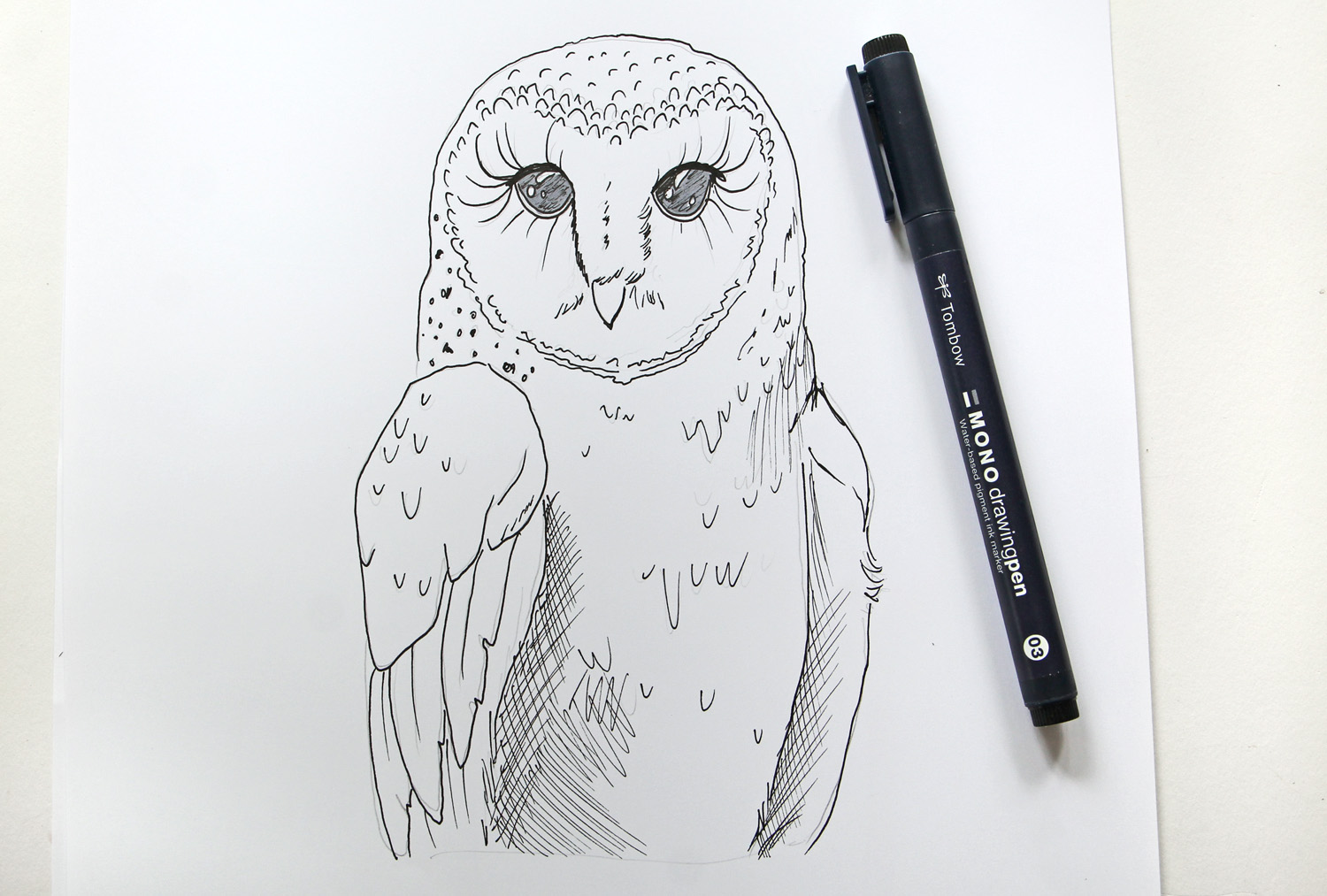 How to Draw an Owl Using ABT PRO Alcohol-Based Markers | LaptrinhX / News